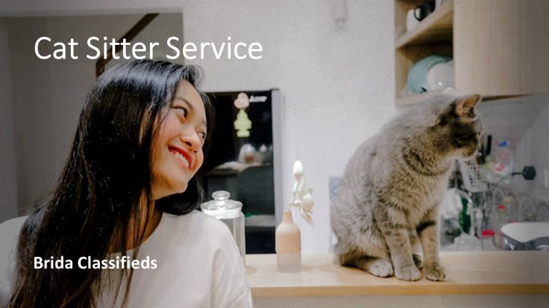 Cat Sitter Service