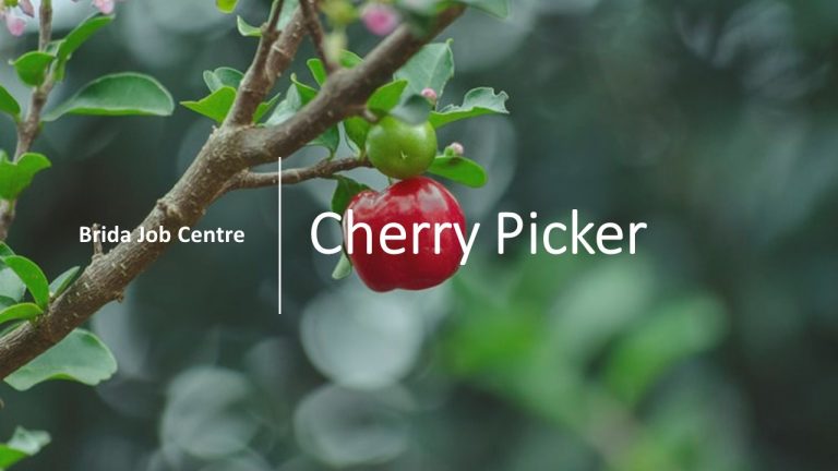 Cherry Pickers