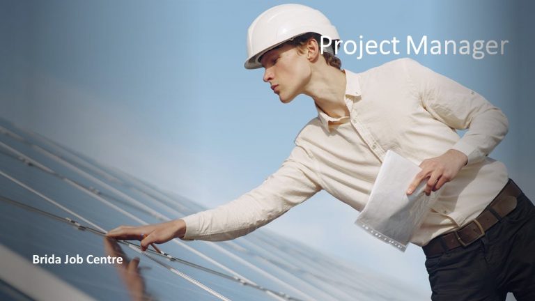 Project Manager