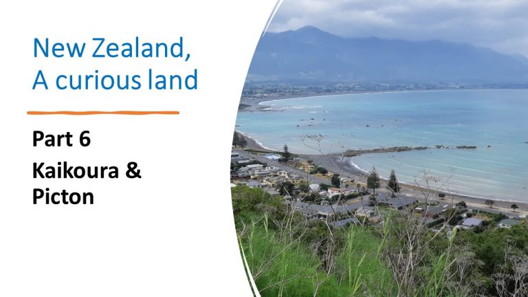 6. Kaikoura & Picton and saying goodbye to the South Island