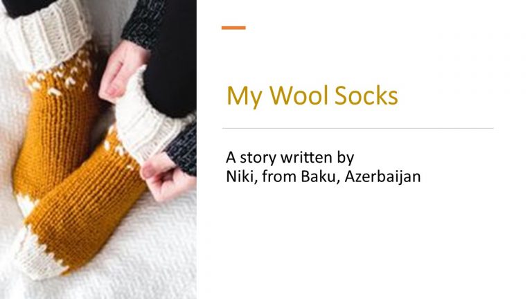 My Wool Socks