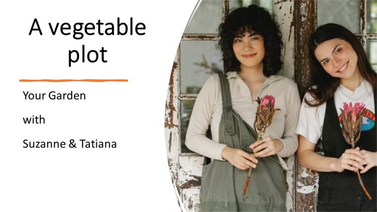 Do you want to start a veggie plot?