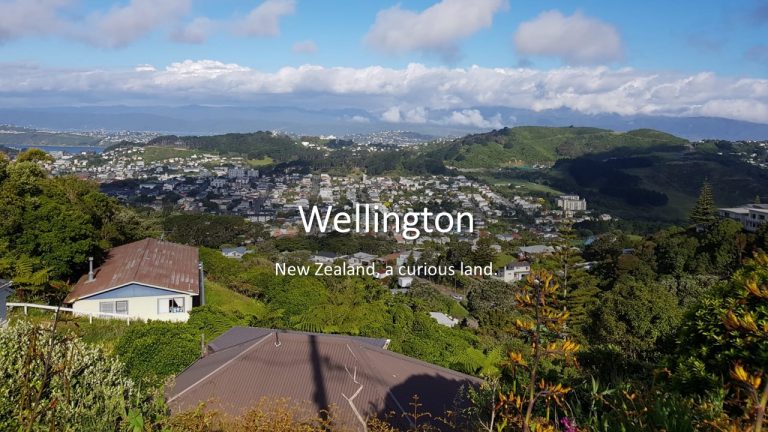 8. Wellington