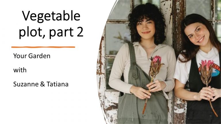 Vegetable plots,  part 2