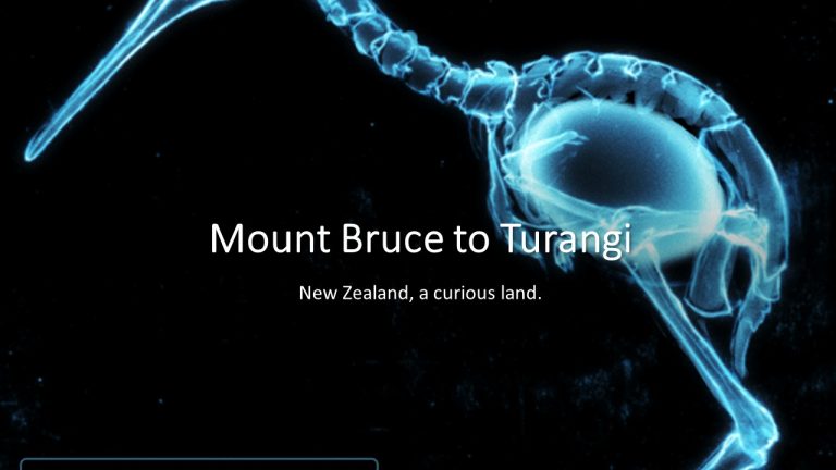 9. Mount Bruce to Turangi