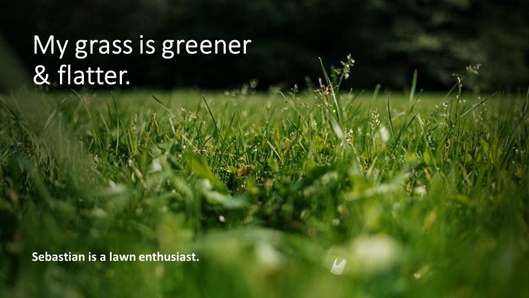 My Grass is Greener and Flatter.