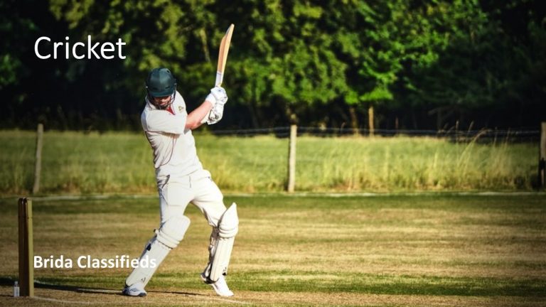 Play Cricket in Brida