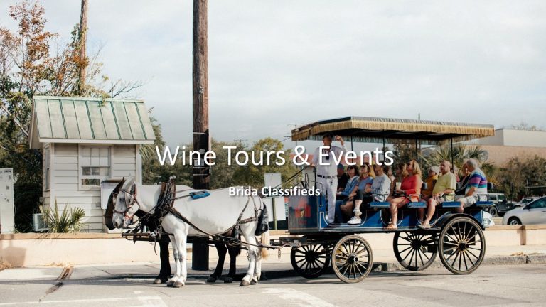 Wine Tours & Events