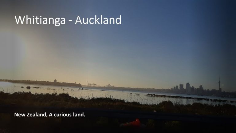 13. Whitianga – Auckland